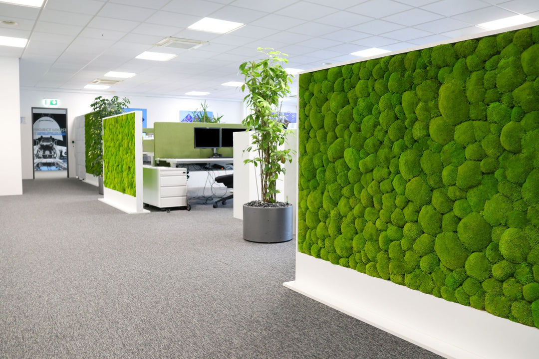 Raumteiler mit Kugelmoos in Grossraumbüro