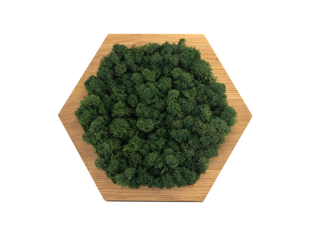 Hexagon Islandmoos waldgrün