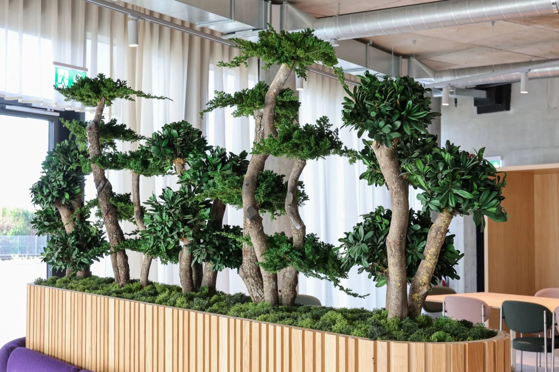 Konservierte Pflanzen im Innenraum, pflegefrei, von Greenfinity