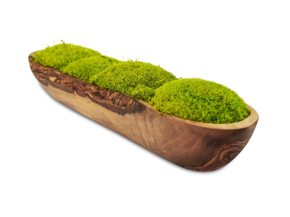 Olivenholzschale mit Kugelmoos, Seitenansicht