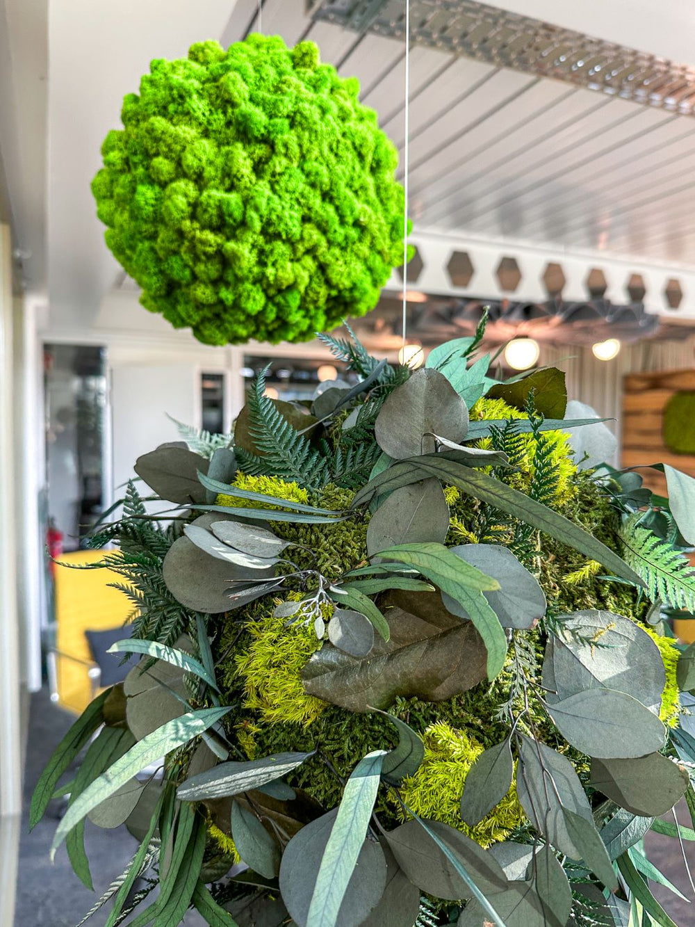 Moosball und Pflanzenball in Showroom Detail