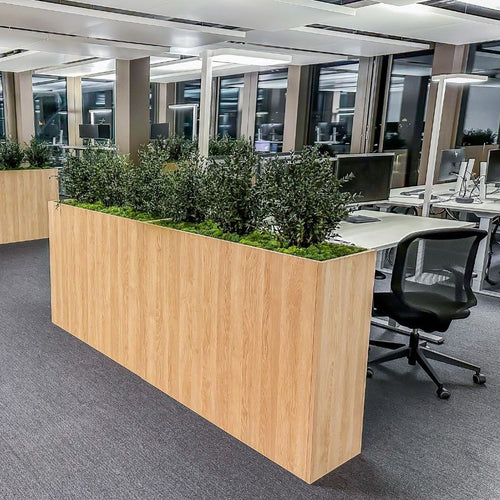 Bürobegrünung mit konservierten Pflanzen