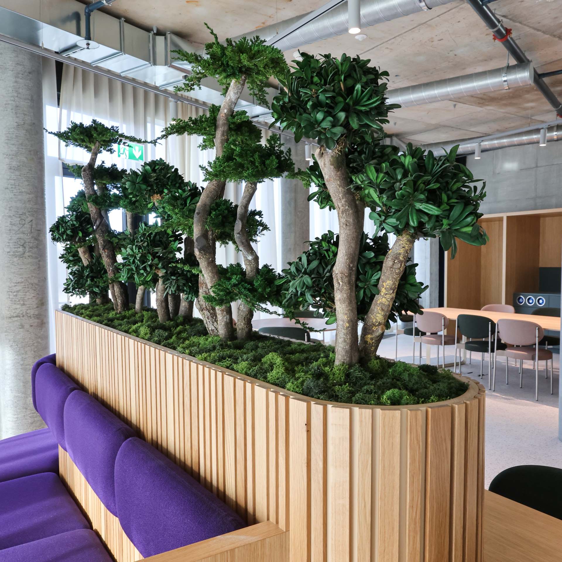 indoor plant room divider Custom-made & maintenance-free plant dividers
