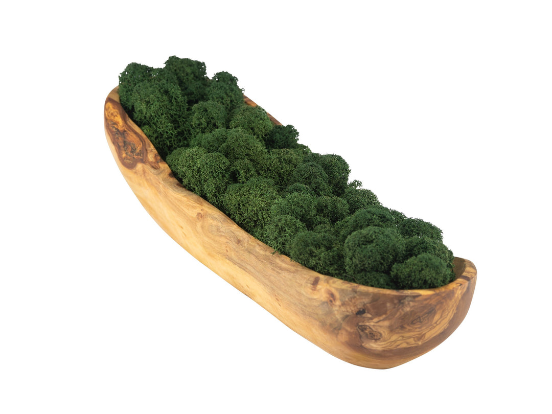 Schale Olivenholz Moos