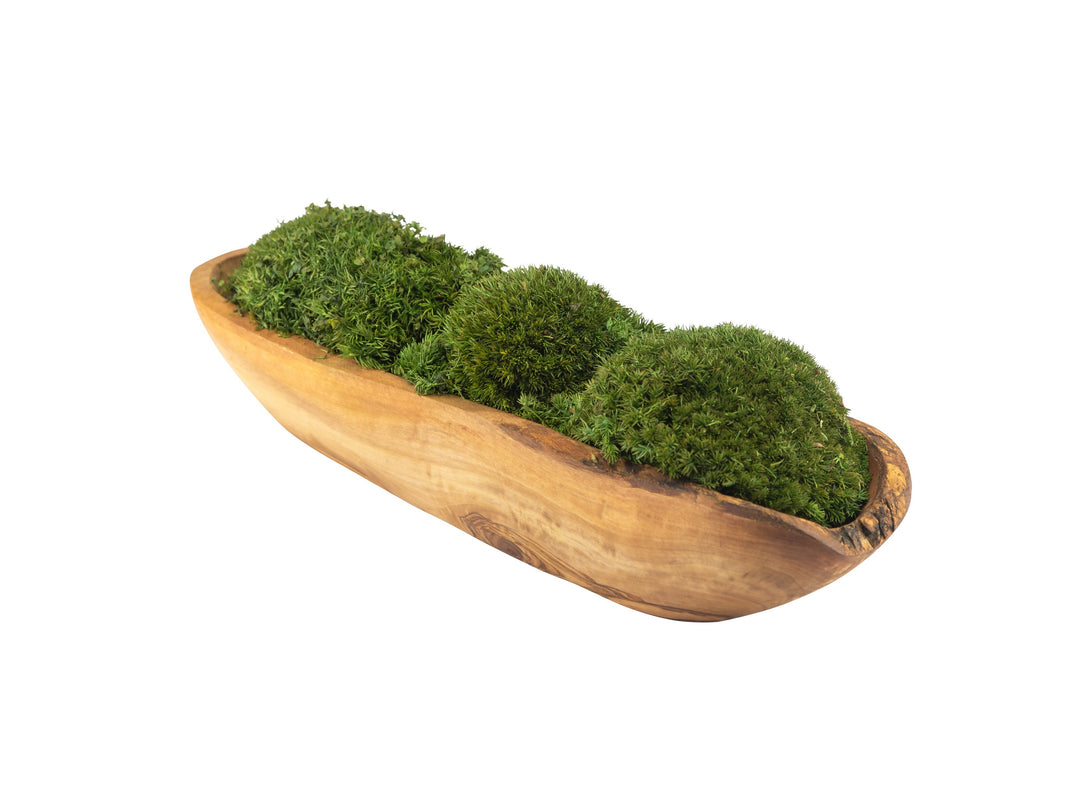 Schale Olivenholz Moos