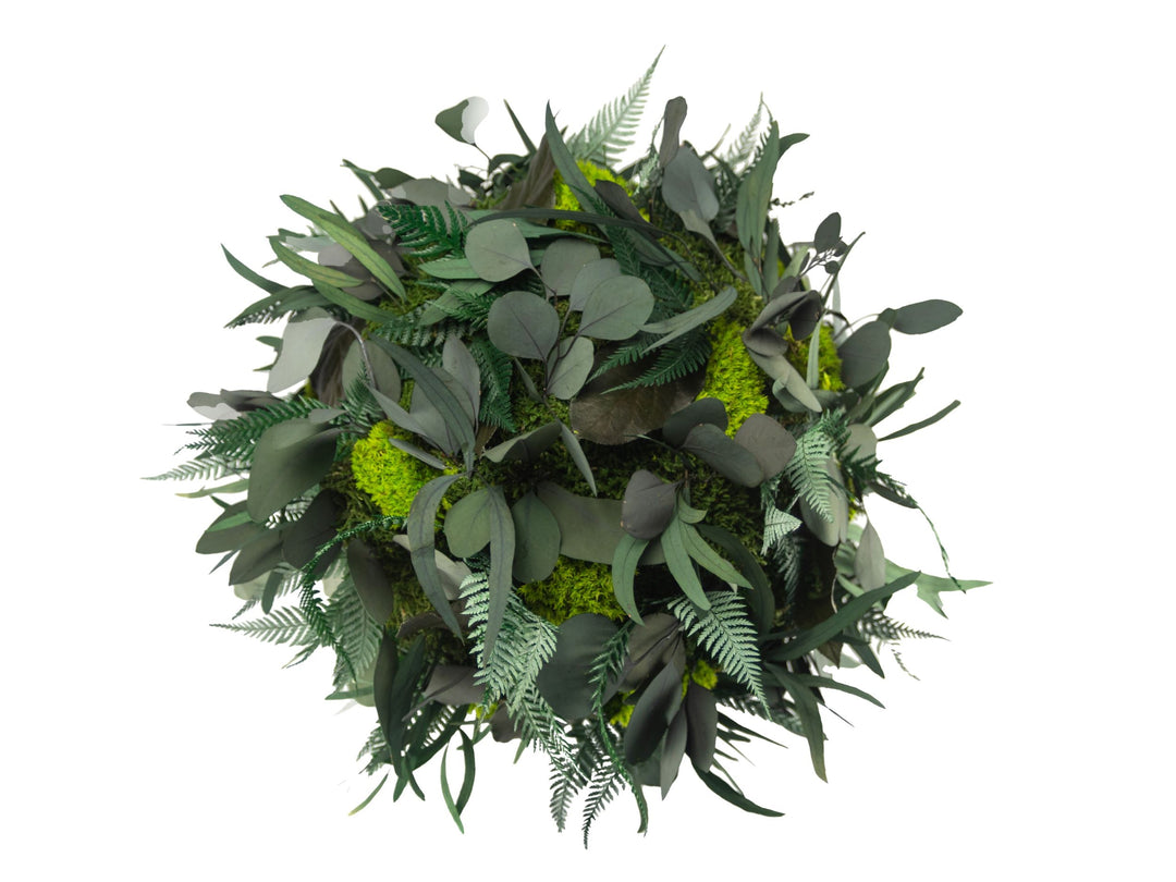 Pflanzenball Dschungel