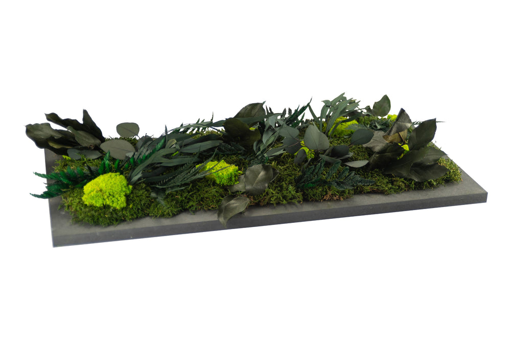 Pflanzenbild rechteckig