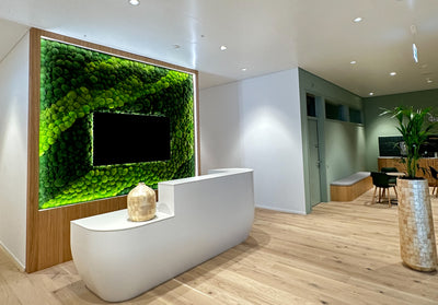 Impressionnant et accueillant : décorez votre espace de réception avec un mur de mousse