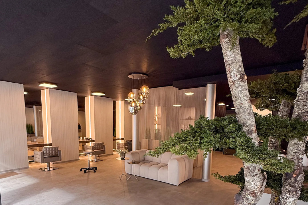 Immagine Maione Hairstyling