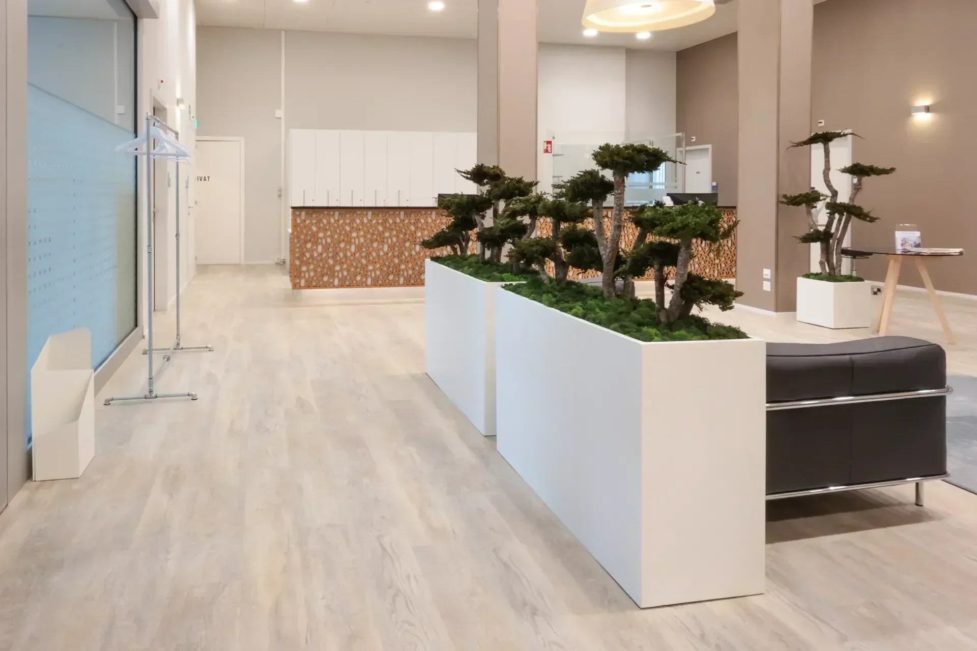 Raumtrenner mit Juniperus Bonsai in Wartebereich 