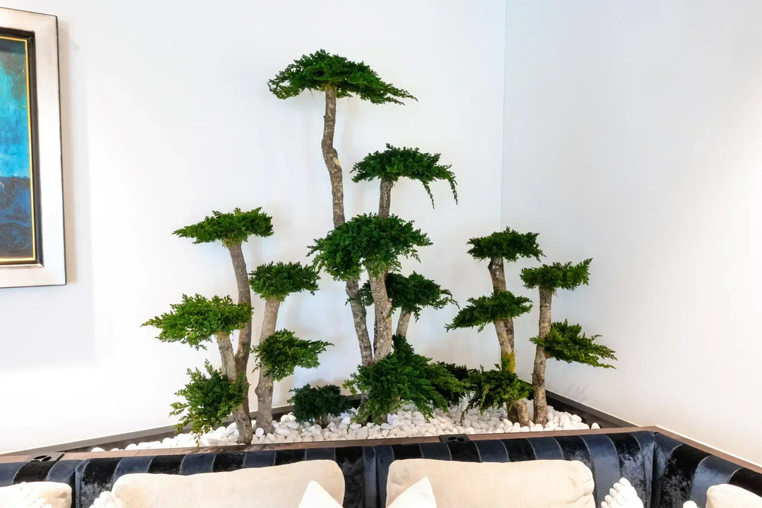 Bonsai-Landschaft in Pflanzentrog hinter Sofa