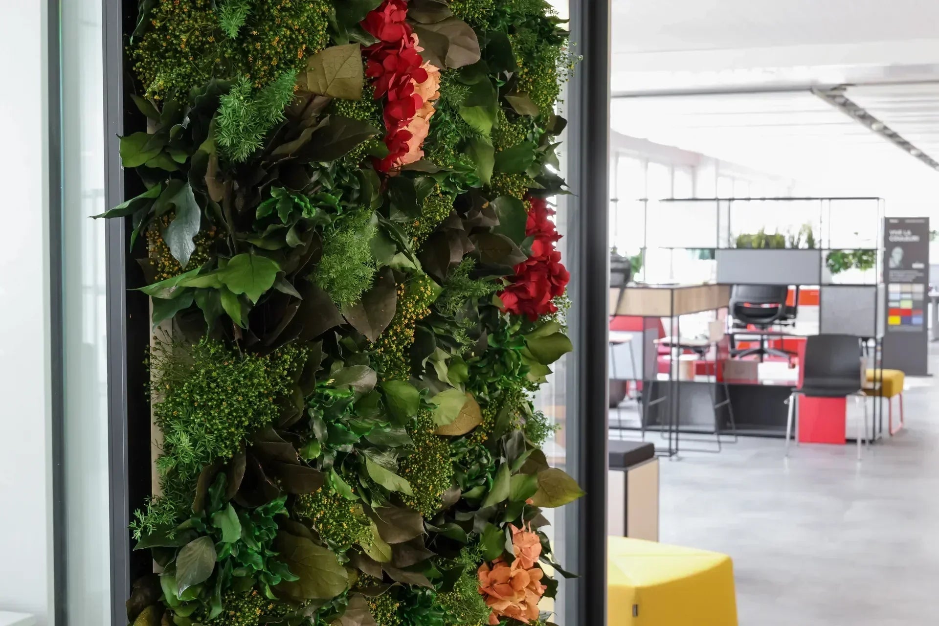 Green-Cube Modul für Cube 4.0 Raum in Raum System 