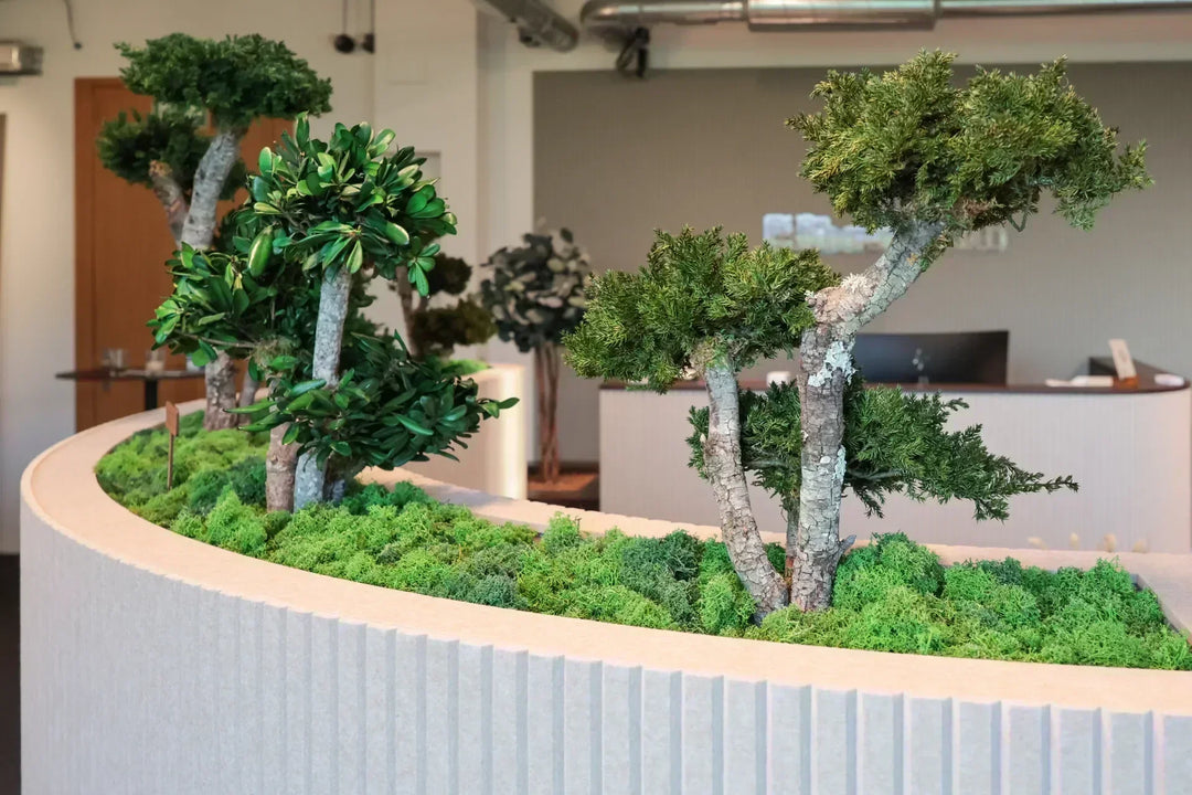 Showroom Begrünung in Baar