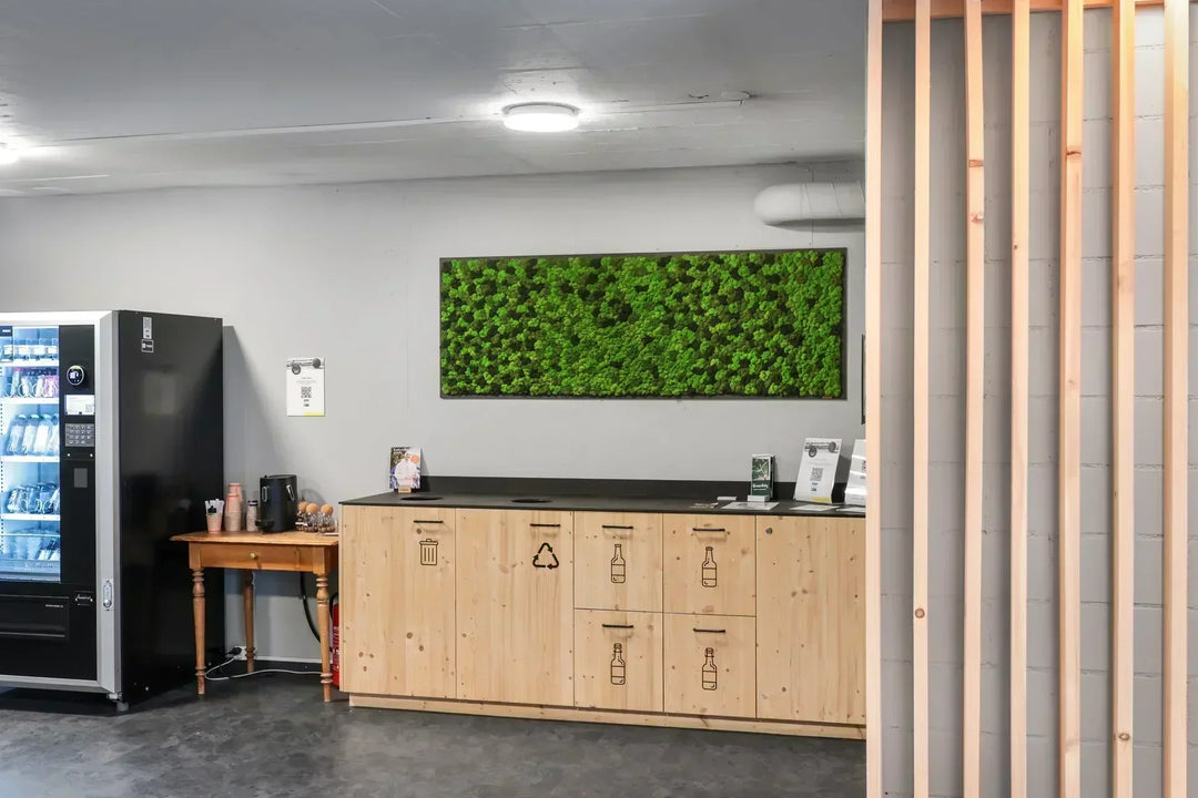 Islandmoosbild in Sportcenter