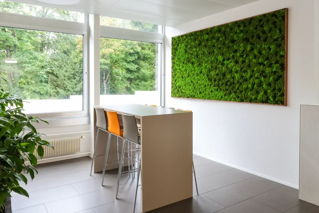 Islandmoosbild für Cafeteria