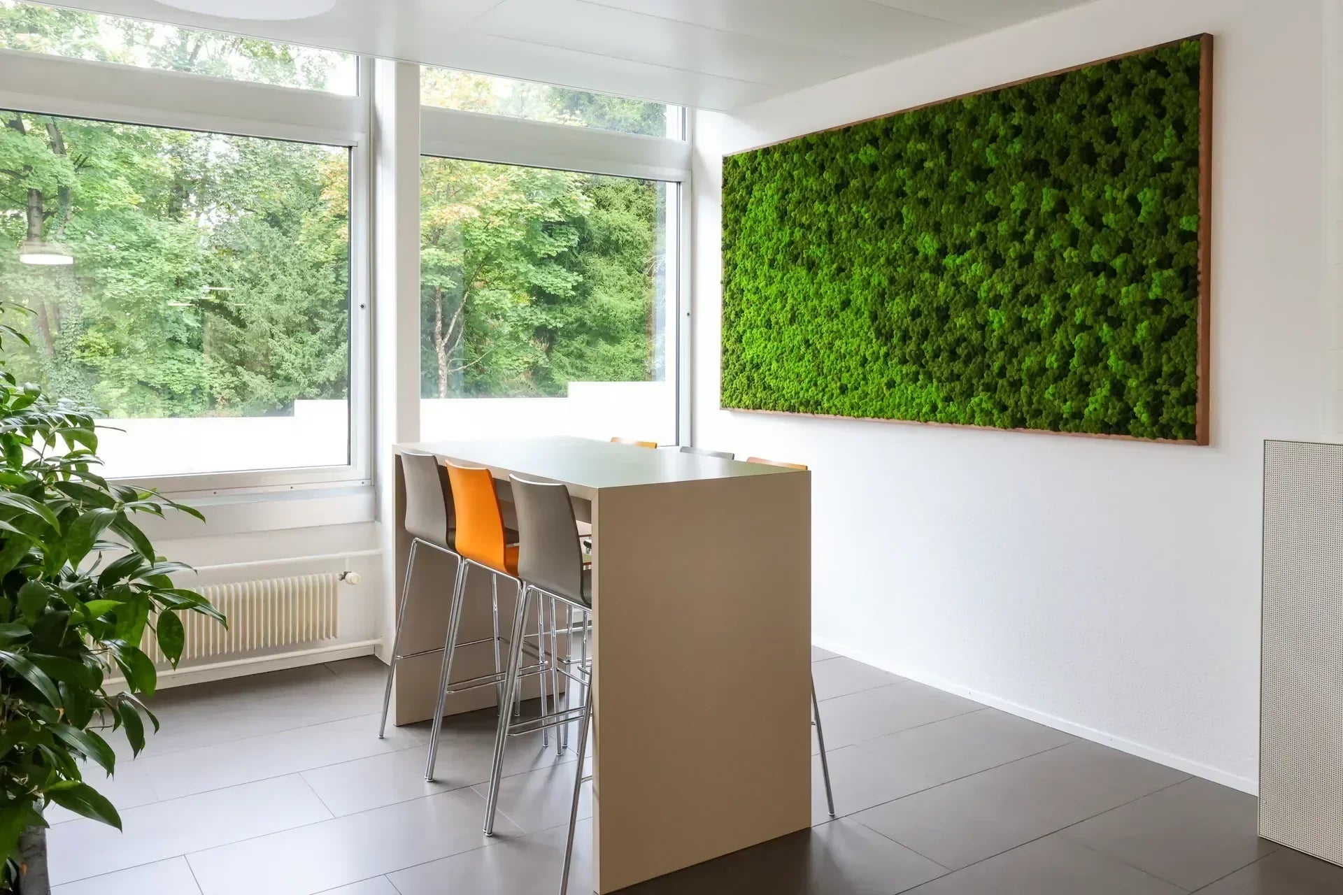 Islandmoosbild für Cafeteria