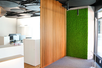 6 advantages of a moss wall in the office