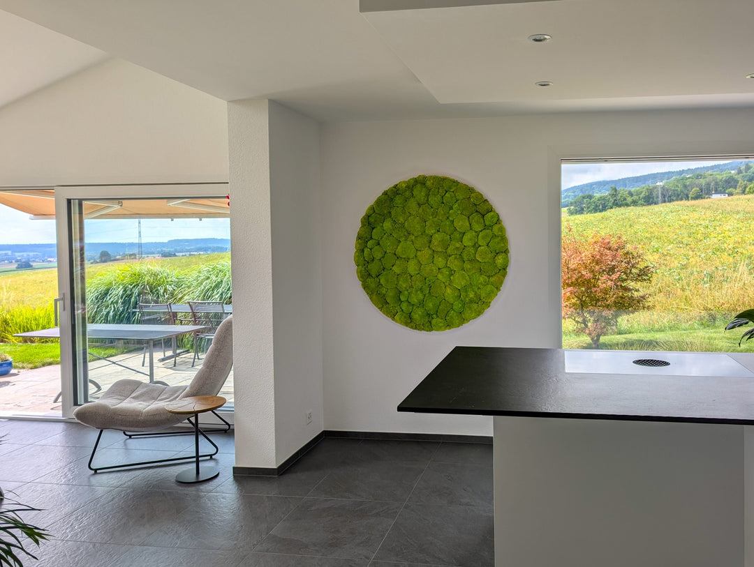 Rundes Islandmoosbild in schönem Haus