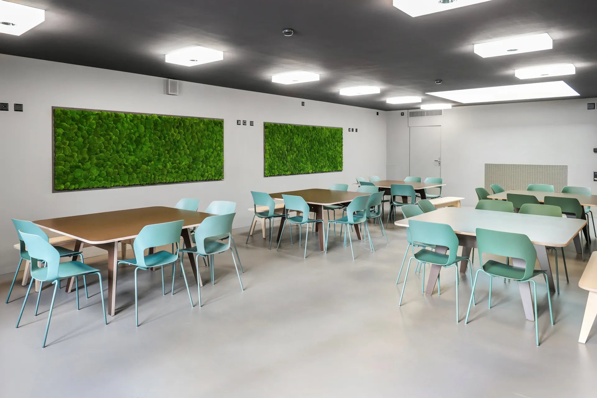 Kugelmoosbilder in der Mensa der Universität St. Gallen