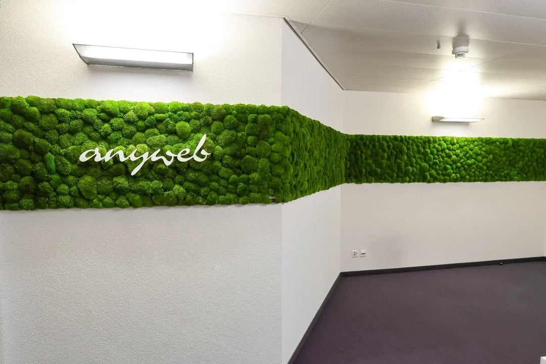 Kugelmoosbild-Streifen in Eingangsbereich