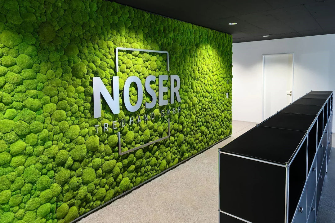 Raumakustik optimieren im Büro mit einer Mooswand aus Kugelmoos