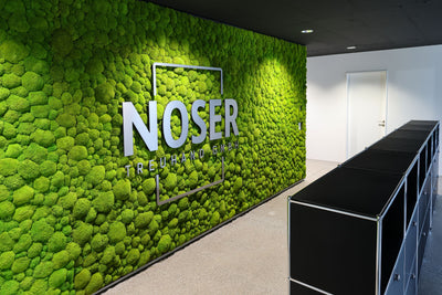 How to improve the acoustics in the office