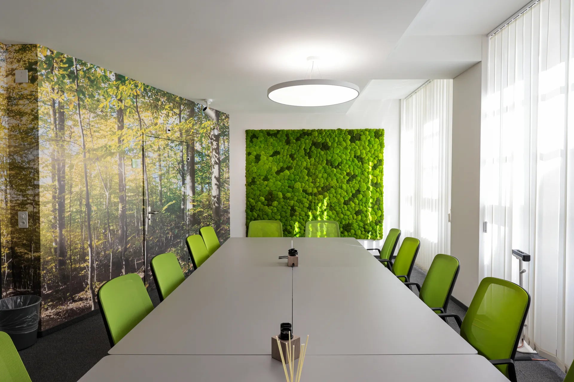Kugelmoosbild für Sitzungszimmer Kantonsforstamt
