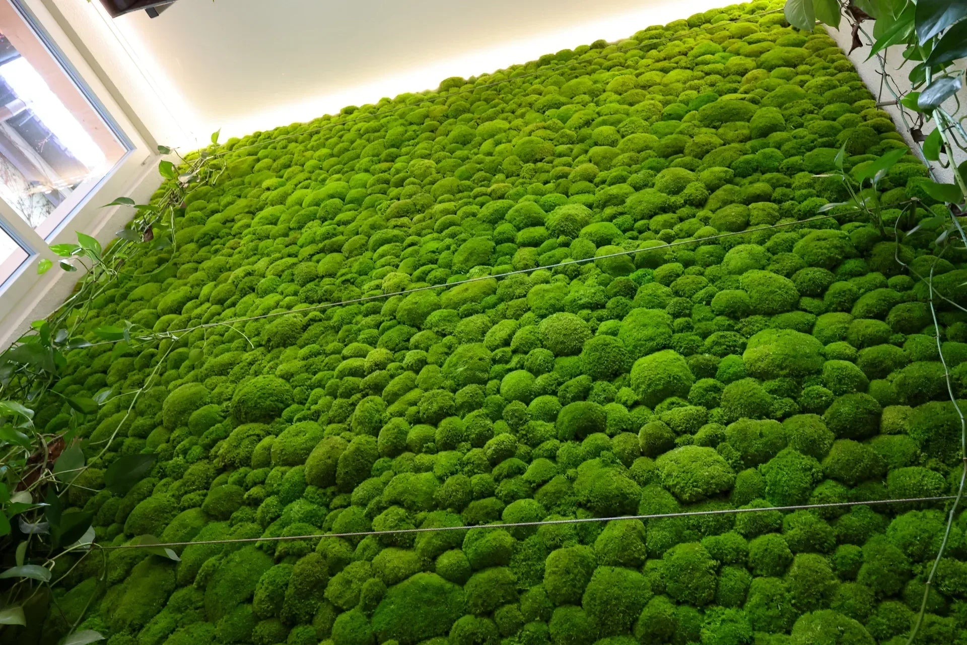 12 m2 Kugelmooswand im Treppenhaus einer Wohnung