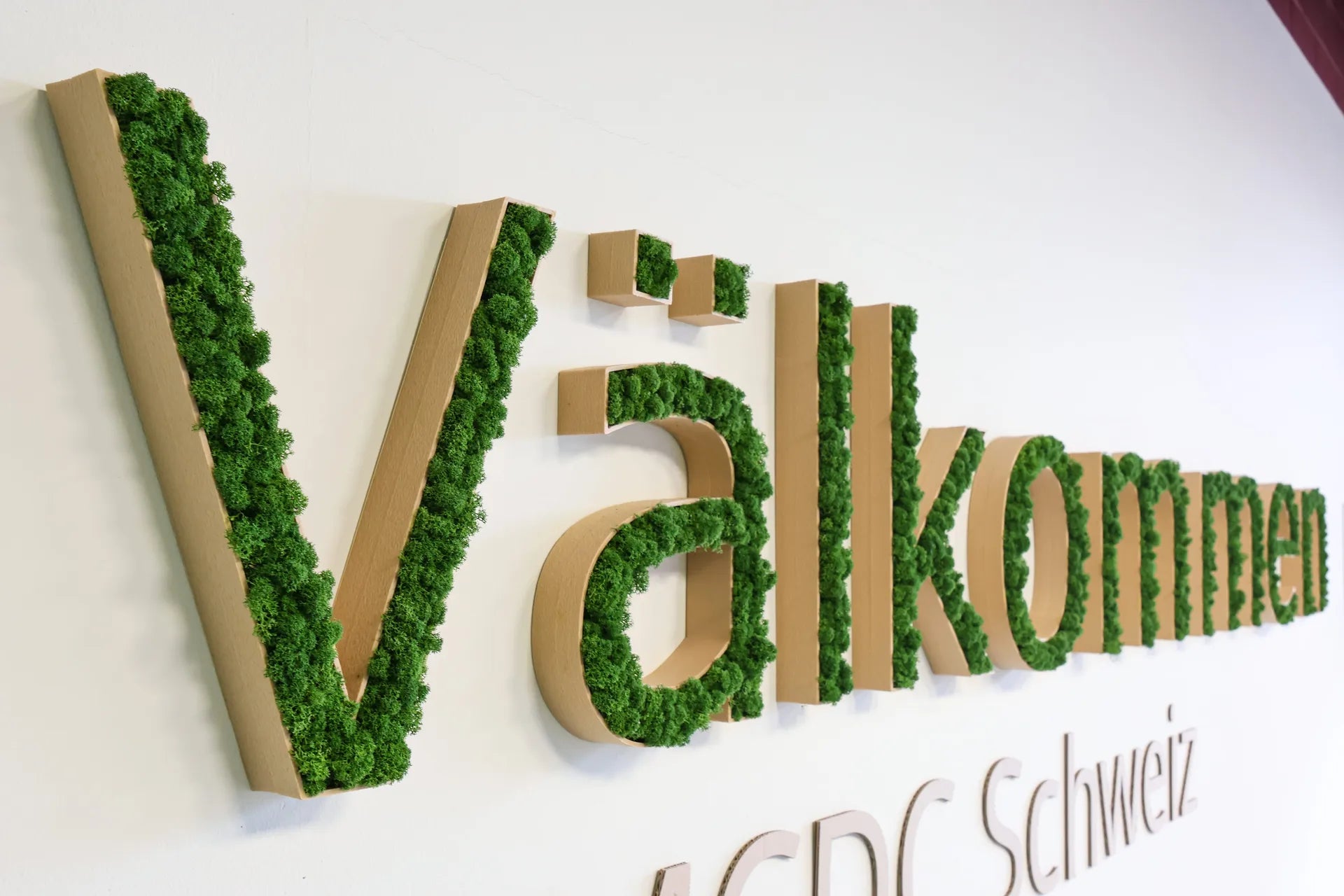 Moos-Buchstbaen Välkommen bei IKEA