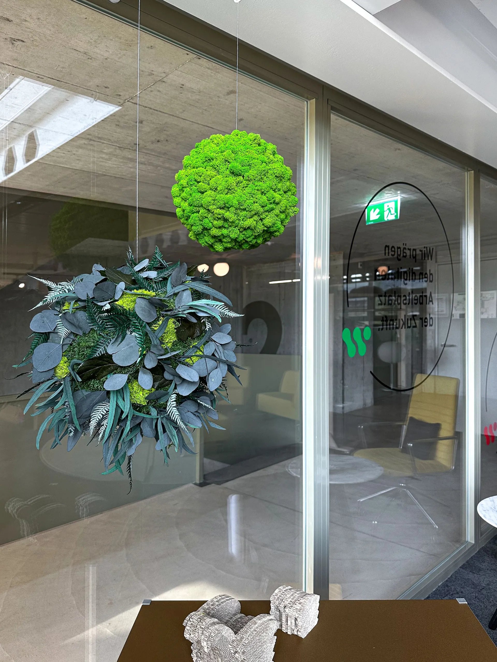 Feature Bild: Dschungelmoos- und Islandmoosball im Showroom von Witzig the Office Company