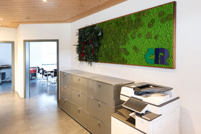 Regio Recycling Management AG