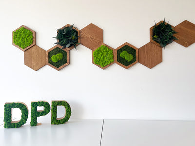 DPD Suisse SA