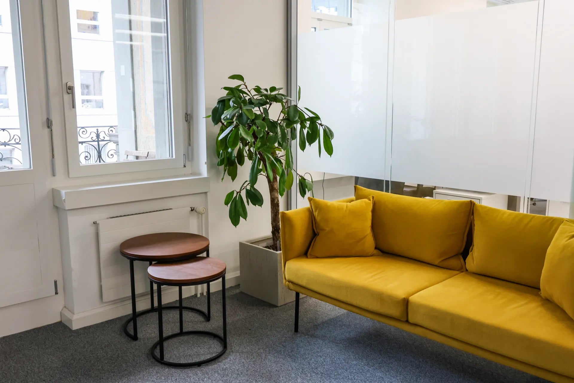 Lebende Pflanze in Sitzungszimmer