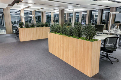 NEXUS Suisse SA