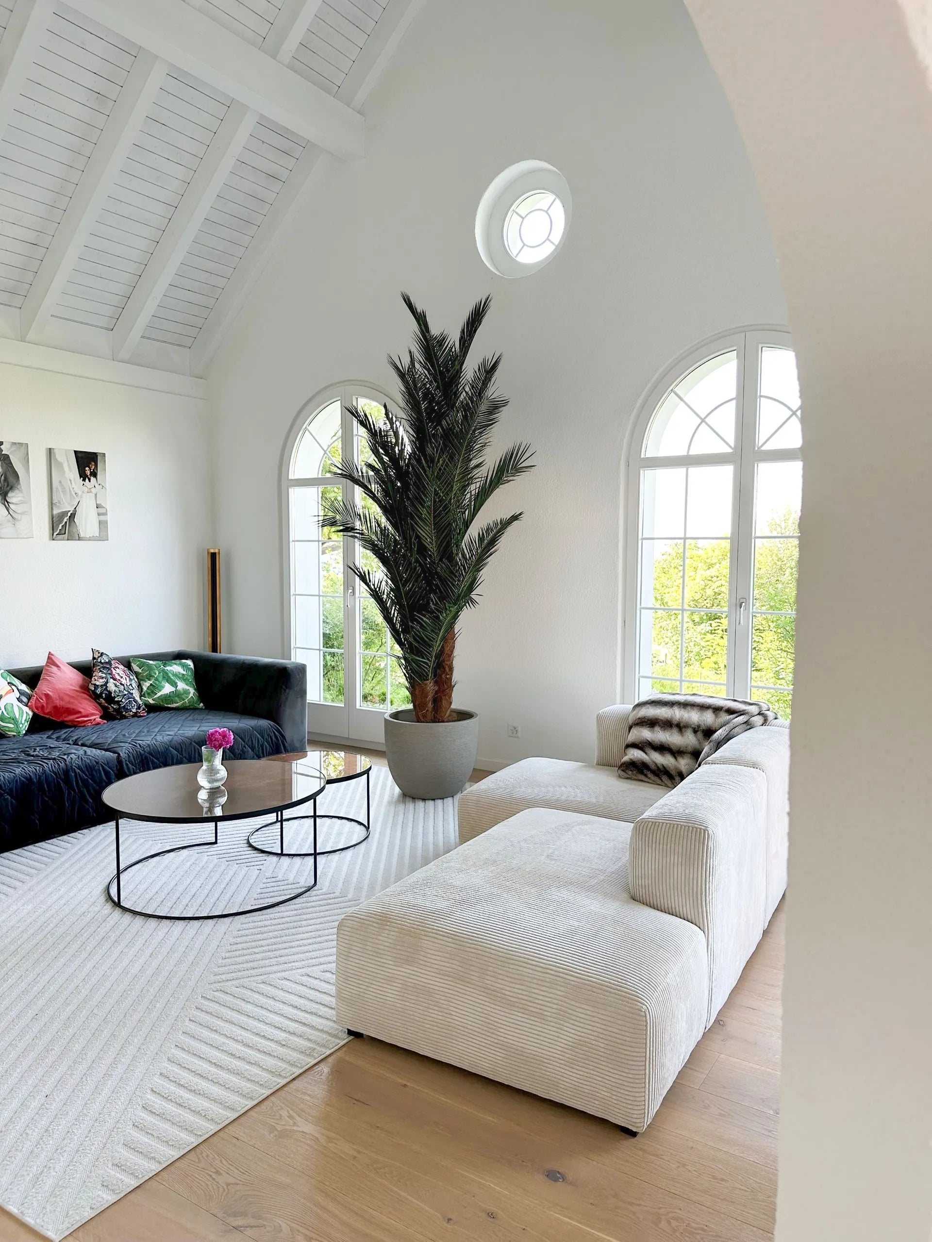 Feature Bild: 3 Meter hohe Phoenix Palme im Wohnzimmer eines Privatkunden