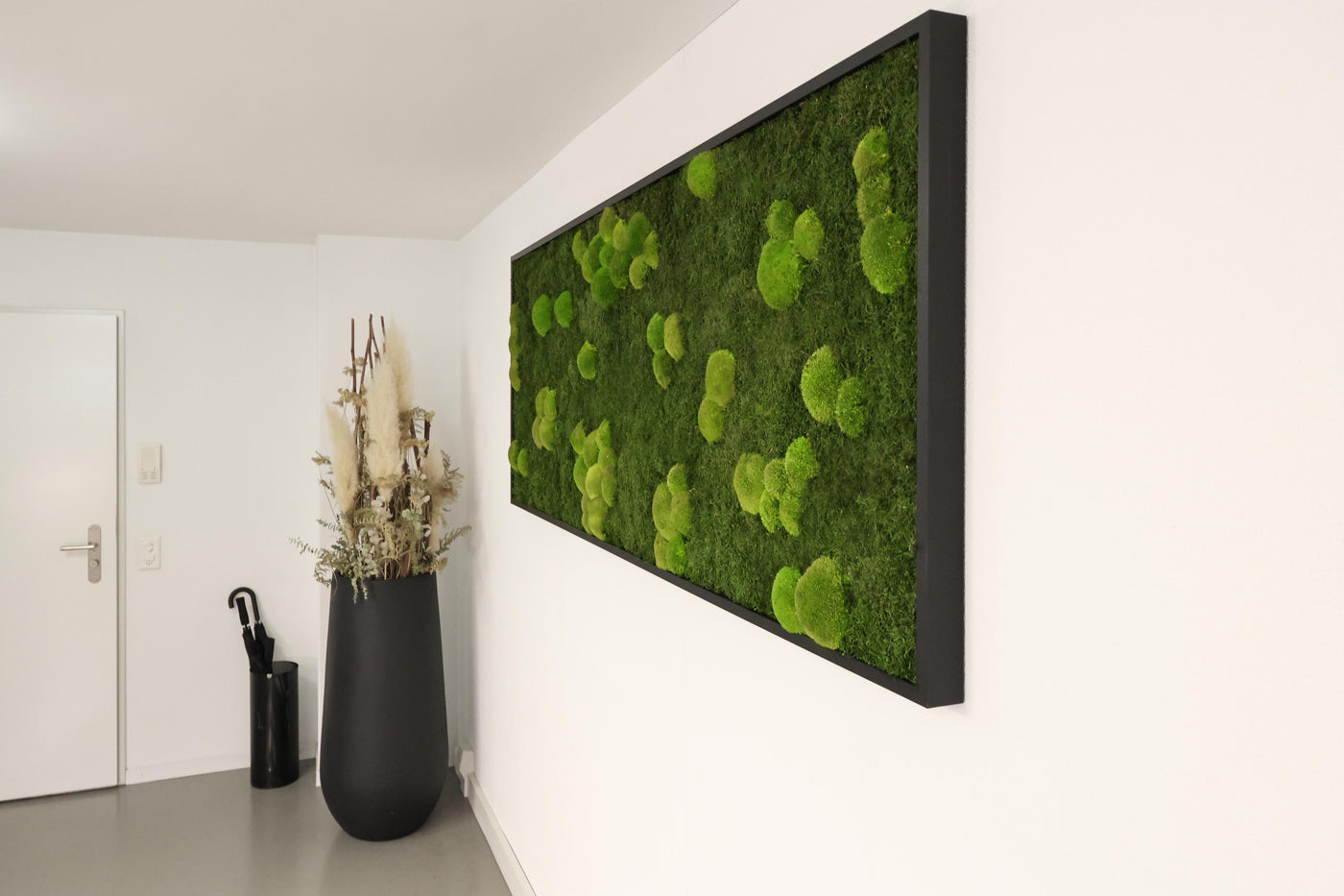 Wald-Kugelmoosbild in Büro im Empfangsbereich