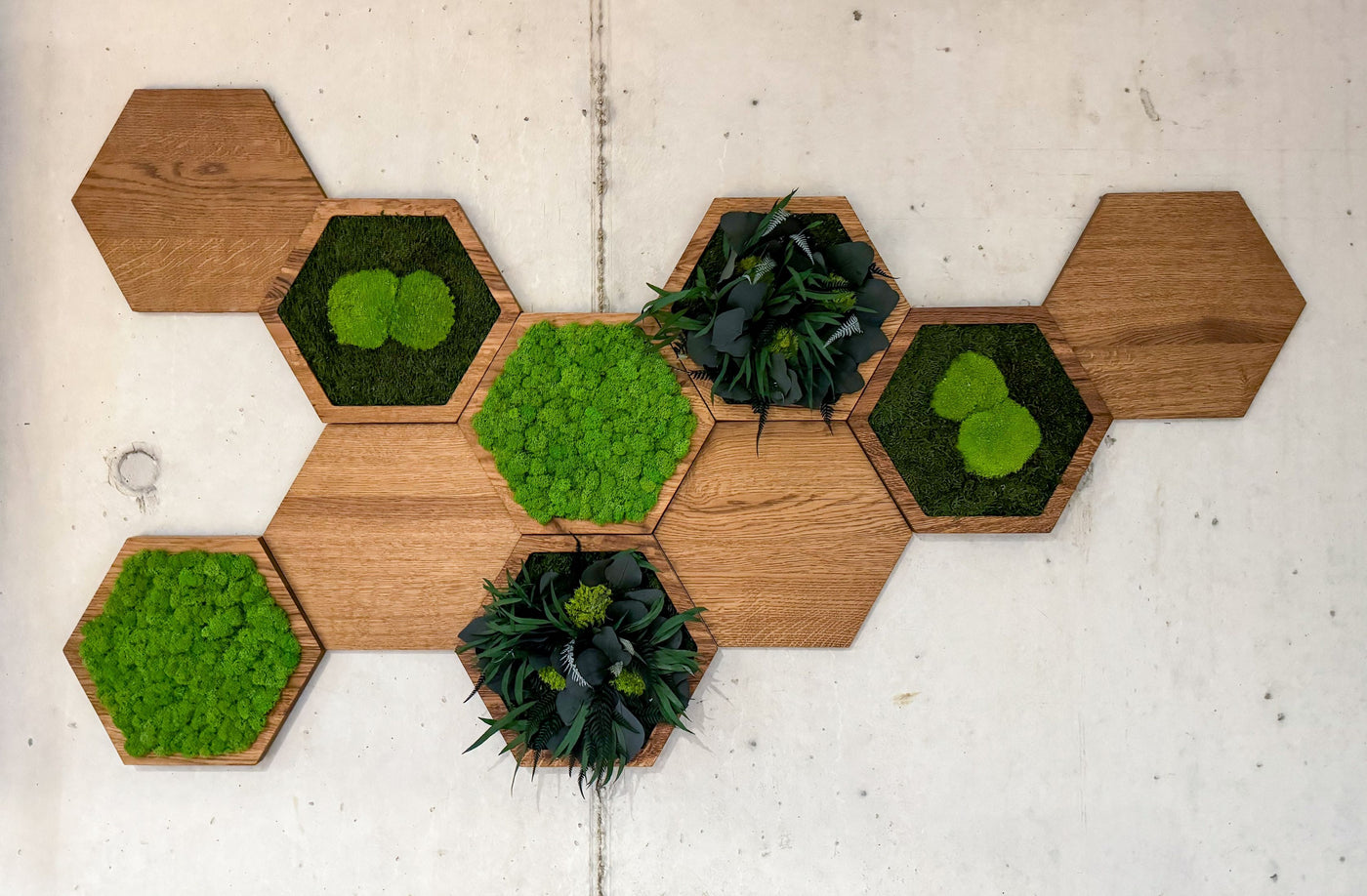 Feature Bild: Hexagon Wandpaneele aus Eichenholz mit Moos im Sitzungszimmer der Neobix AG 