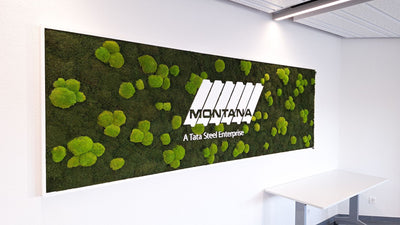 Montana Bausysteme AG