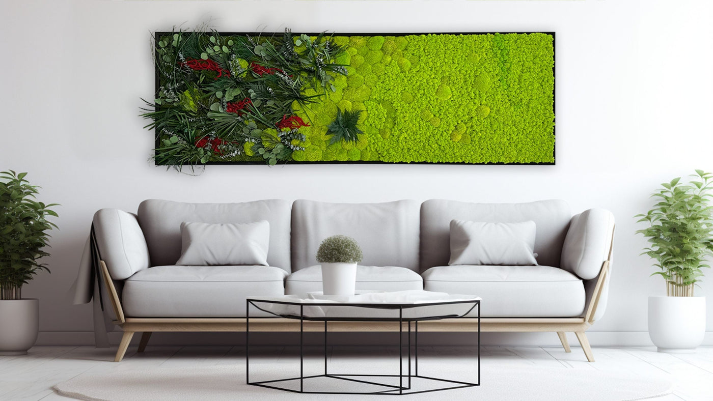 Moosbild in Wohnzimmer mit verschiedenen Moosarten