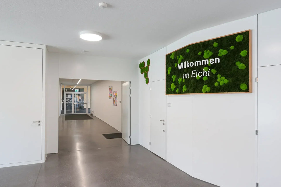 Wald-Kugelmoosbild in Schulhaus