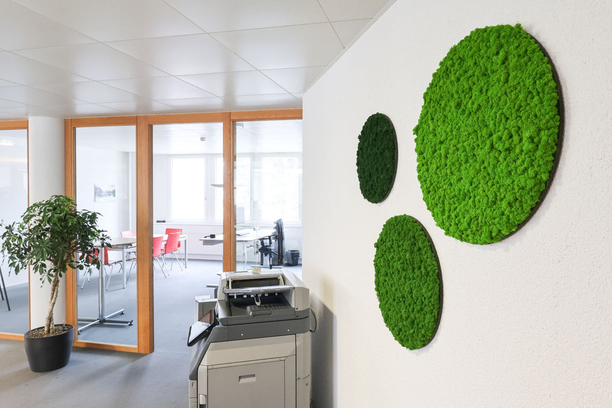 moosbilder-und-hexagon-wandpaneele-01-rs.jpg