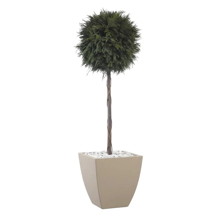 Thuja 1-Kugel 140 cm in Topf