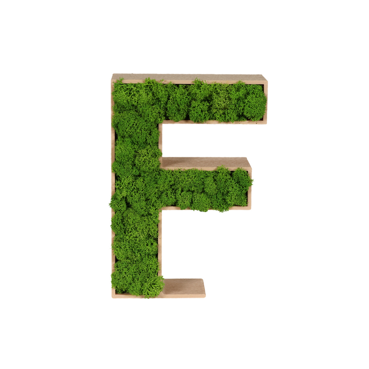 Lettres de mousse