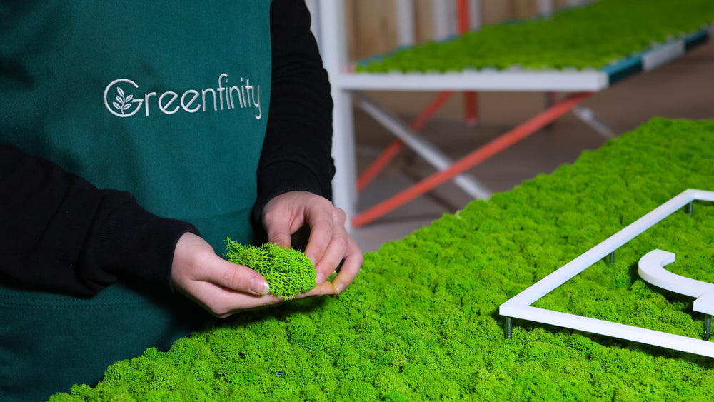 Greenfinity Floristin fertigt ein Moosbild, hergestellt & handgefertigt in der Schweiz.