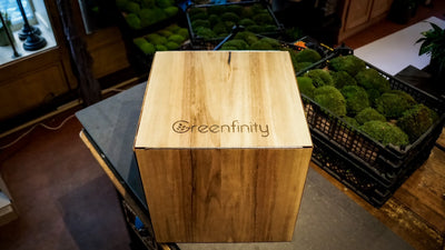 Greenfinity - Einzigartige Inneneinrichtung aus Moos & Pflanzen