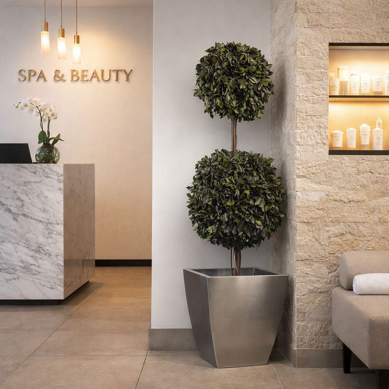 Hedera 2 Kugeln in Empfangsbereich Beauty & Spa Salon