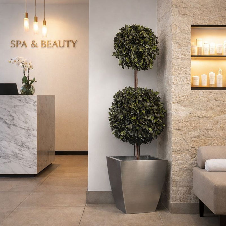 Hedera 2 Kugeln in Empfangsbereich Beauty & Spa Salon