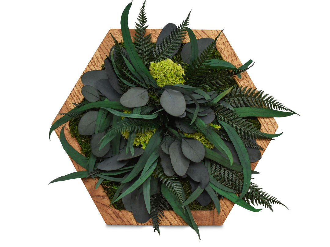 Hexagon Wandpaneel mit Dschungelmoos