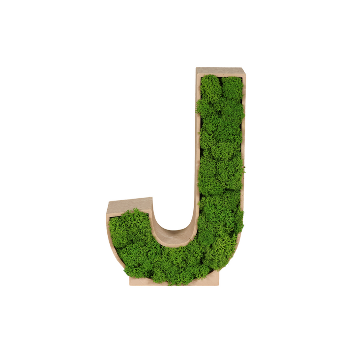 Lettres de mousse