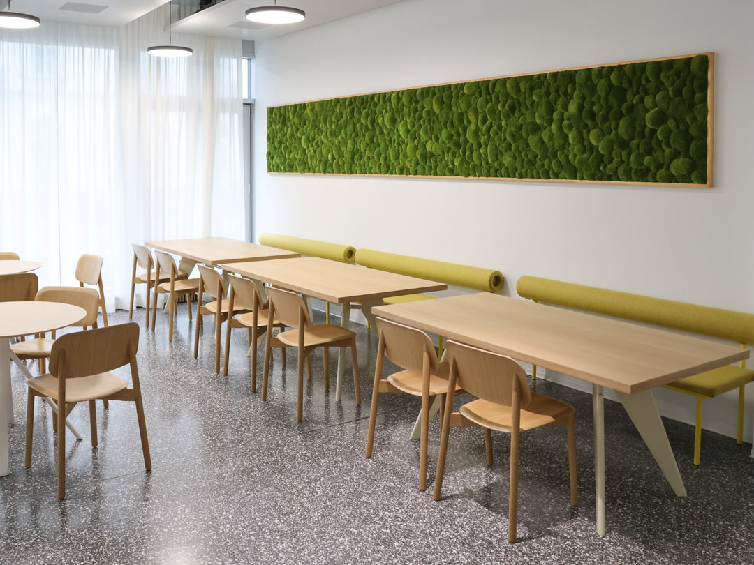 Mooswand Cafeteria SUVA Moosbild